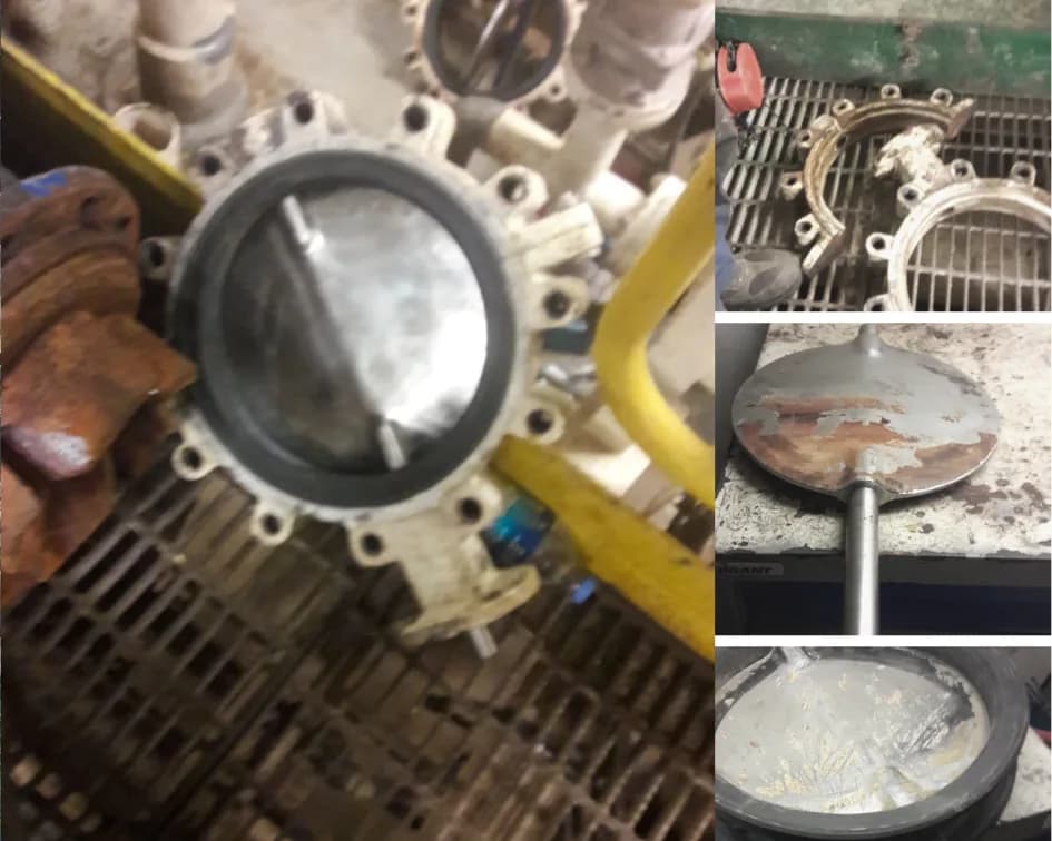 Overhauled butterfly valve and its internals
